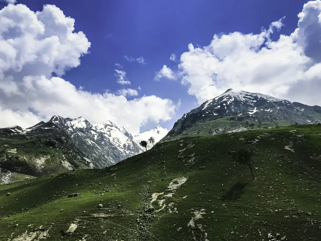 The vibrant green meadows of Sonamarg meet the rugged, snow-capped Himalayan peaks under a brilliant blue sky