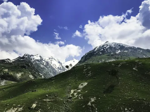 The vibrant green meadows of Sonamarg meet the rugged, snow-capped Himalayan peaks under a brilliant blue sky
