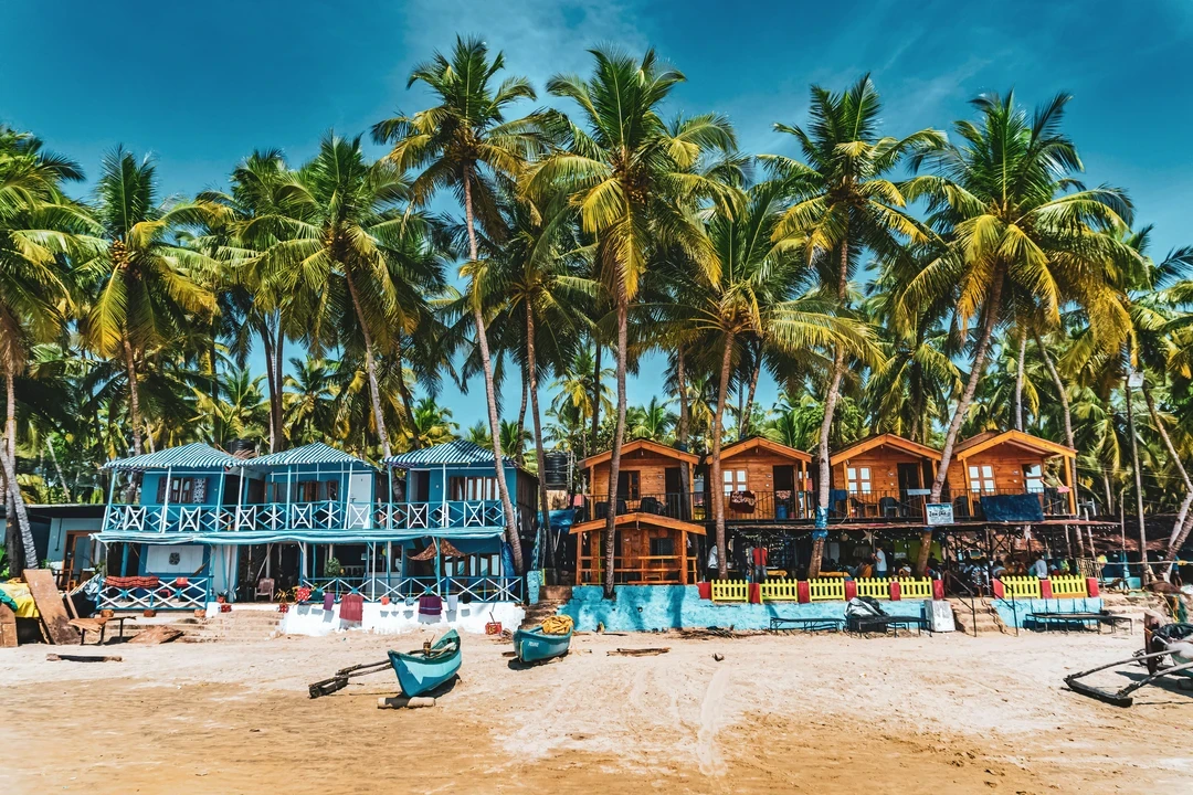 Goa coastline with palm trees and golden sand at sunset