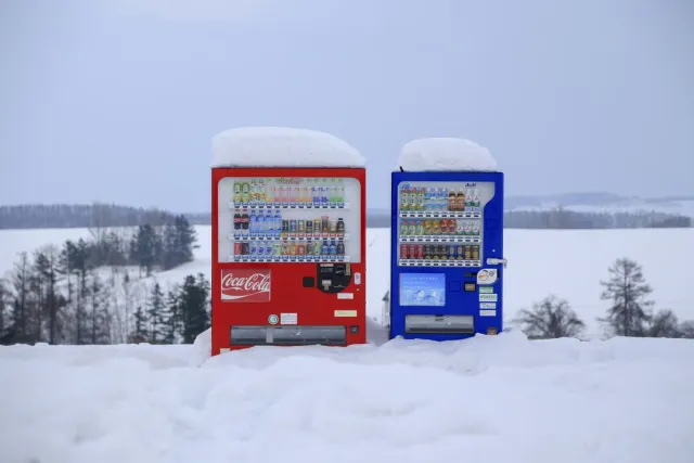 Sapporo snow festivals, Niseko ski slopes, Osaka street food and Osaka Castle — winter and culinary adventures.