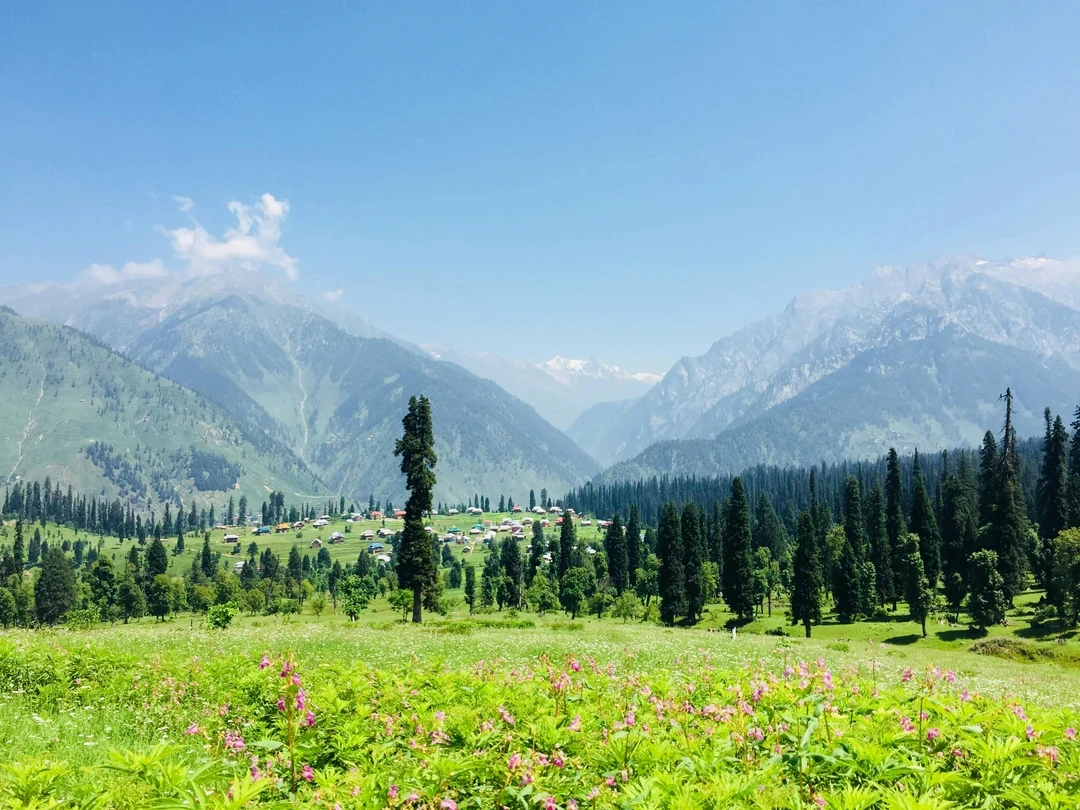 Jammu & Kashmir - Snow-clad mountains, saffron fields, and shikara rides