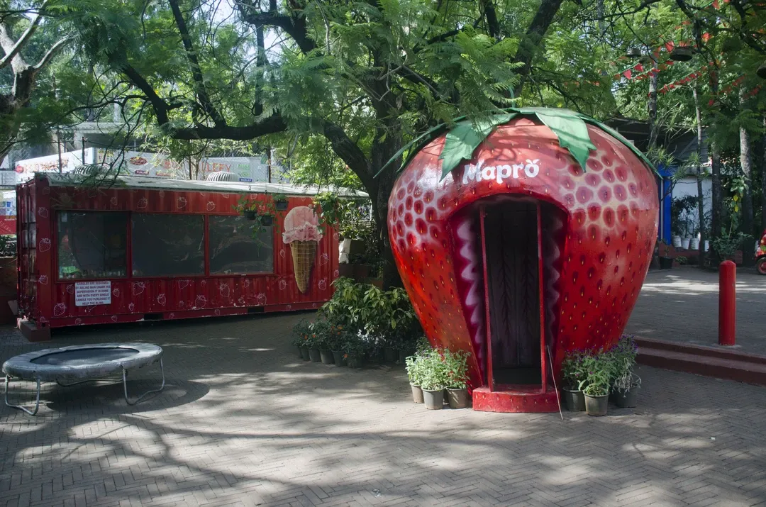 The iconic, giant strawberry structure used as a photo booth at the popular Mapro Garden, a tourist attraction in Mahabaleshwar