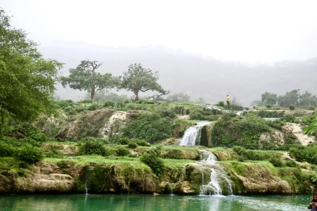 Salalah & Ras Al Jinz – Coastal Wonders Frankincense trails, Khareef (monsoon) green season in Salalah and turtle watching at Ras Al Jinz. Eco-friendly coastal tours arranged.