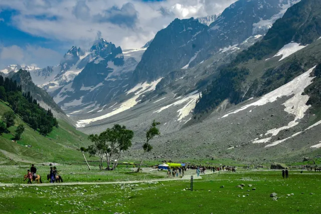 The meadow of gold. Glacier treks and camping under a starlit sky
